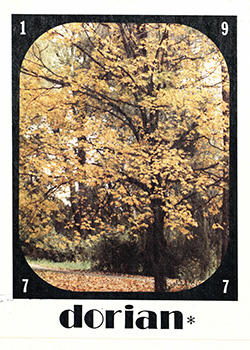 1977 Glenbard South Yearbook cover